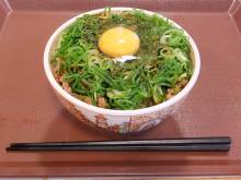 Le Gyudon